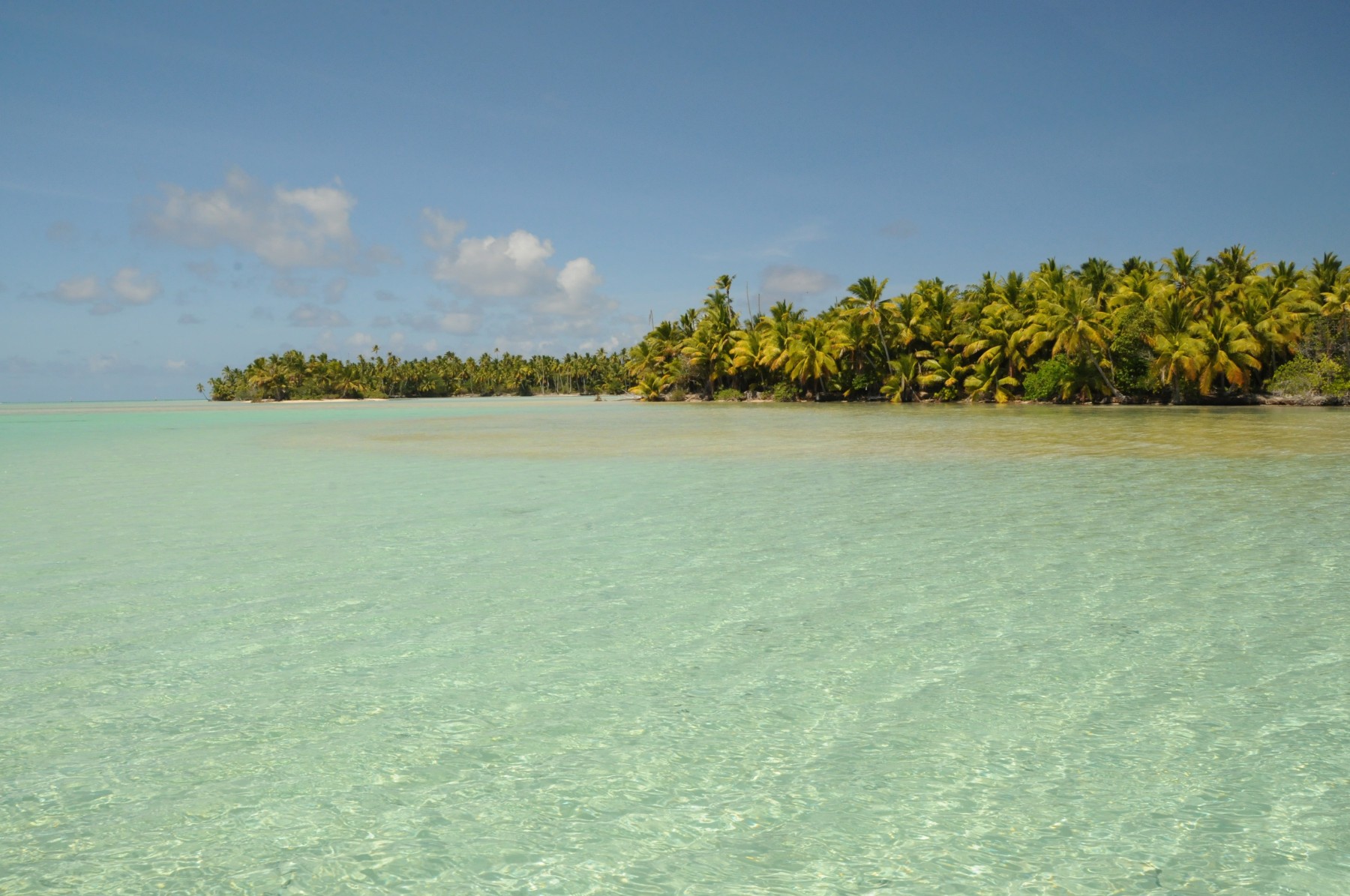 Aquatiki - croisière-plongée